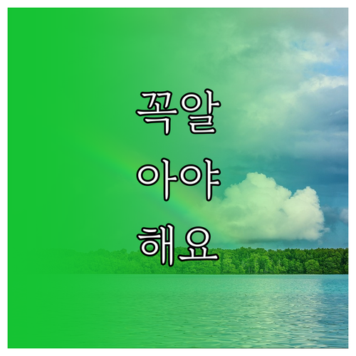 카톡 대화 복구 비용 아끼는 법 정답은 꾸준한 백업