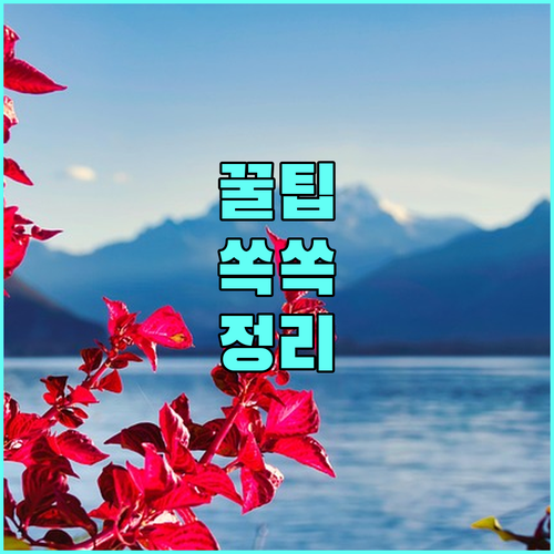 부산 기장군 2025 보훈 수당 참전유공자 지원금 대상부터 신청까지