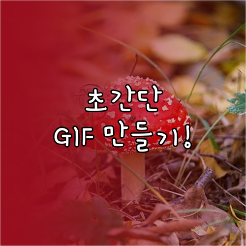 동영상, 사진, 전문 프로그램으로 GIF 만들기