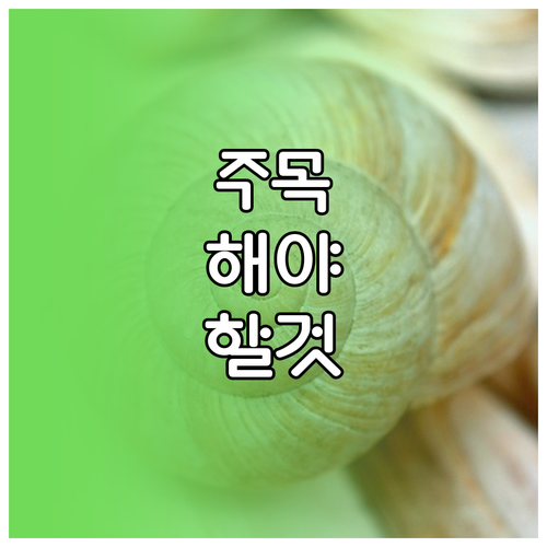 서울 전통시장 완벽 정복! 놓칠 수 없는 3대 시장 투어