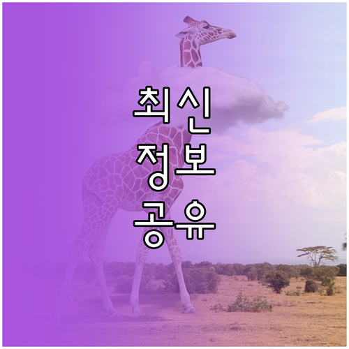 이것만 알면 끝! 노트북 무선 연결 문제 셀프 해결 팁