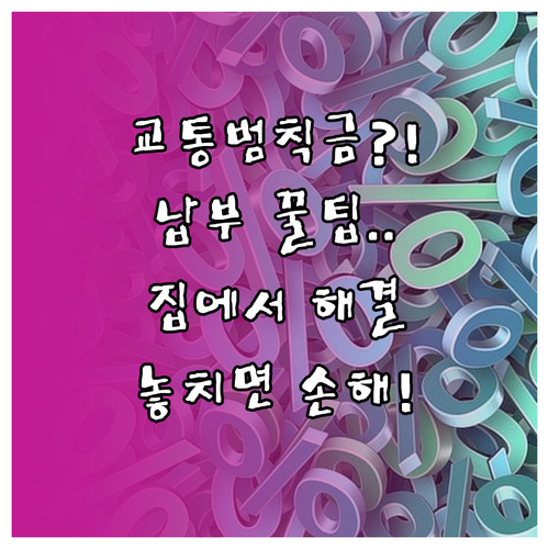 집에서 하는 교통 범칙금 및 과태료 납부 방법