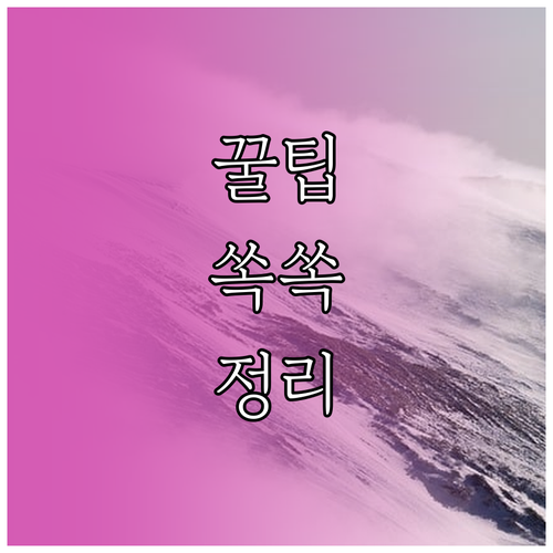 인스타그램 계정 정리: 영구 삭제 전 꼭 알아야 할 3가지
