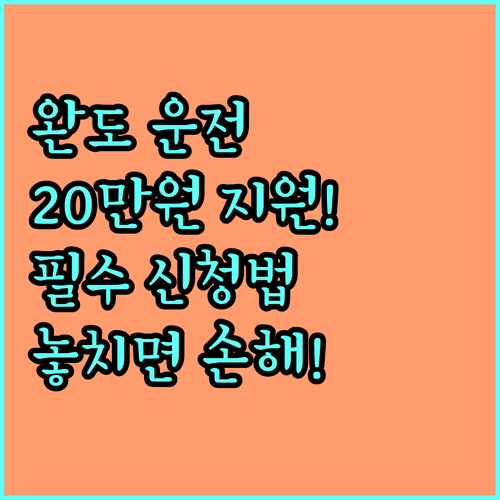 완도군 2025년 운전면허 반납 지원 20만원, 신청 방법부터 혜택까지