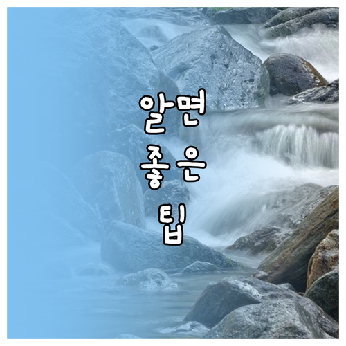 따릉이 이용 시작: 이용권, 신형 모델, 대여 반납