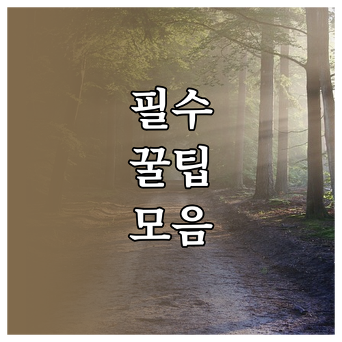 강원도 핵심 여행지: 자연 명소, 힐링 경험, 액티비티 총정리