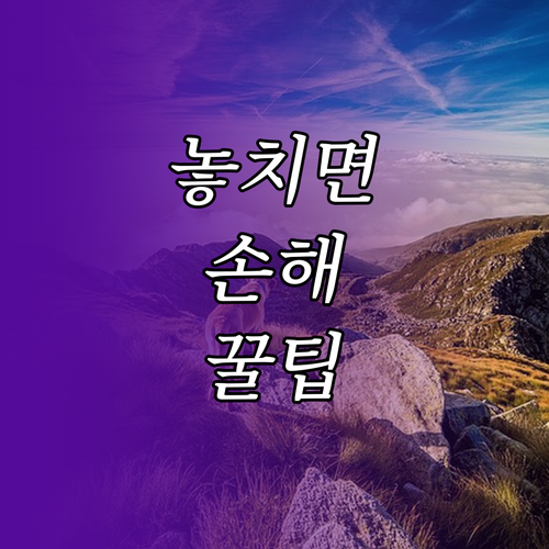 ESTA 21달러 숨겨진 함정 파헤치기 공식 사이트 신청이 답이다