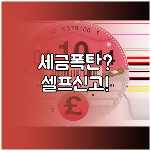 해외 플랫폼 수익, 전문가 없이 셀프 세금 신고하기