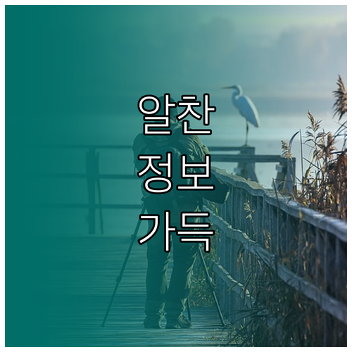 구글 스프레드시트 필수 함수부터 중첩 활용까지