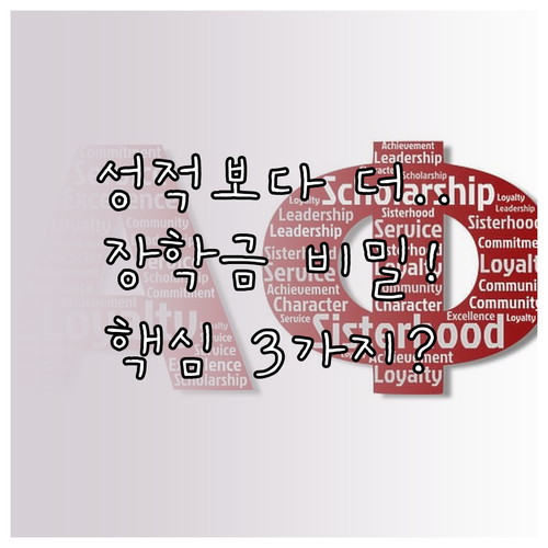 성적보다 중요한 해외 대학 장학금 성공의 핵심 요소 3가지