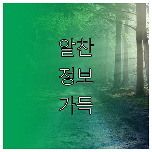 노후 타이어 위험! 안전을 위한 교체 시기 종합 분석