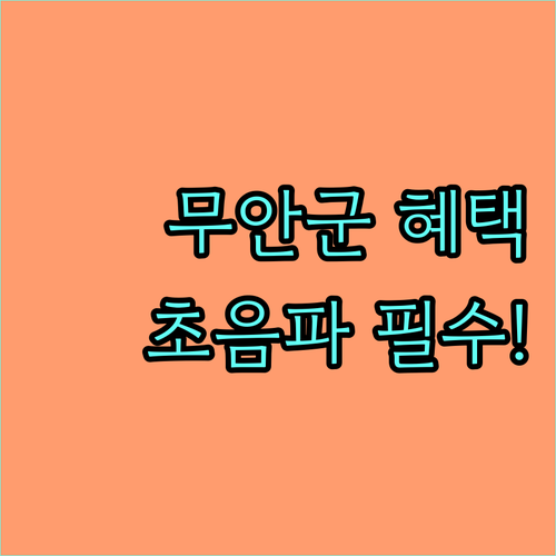 2025 무안군 임산부 초음파 기형아 검진 지원 혜택 확인