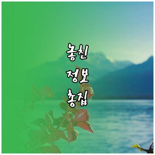 애플워치 배터리 오래 쓰는 법 절약 모드 완벽 해부