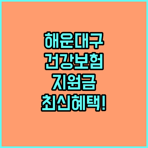 2025년 해운대구 저소득 노인 건강보험료 지원 조건 및 내용