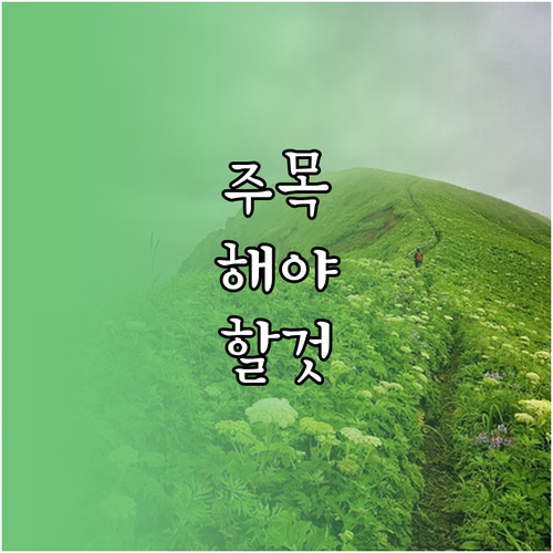 미국 ESTA 신청, 이것 모르면 거절됩니다!