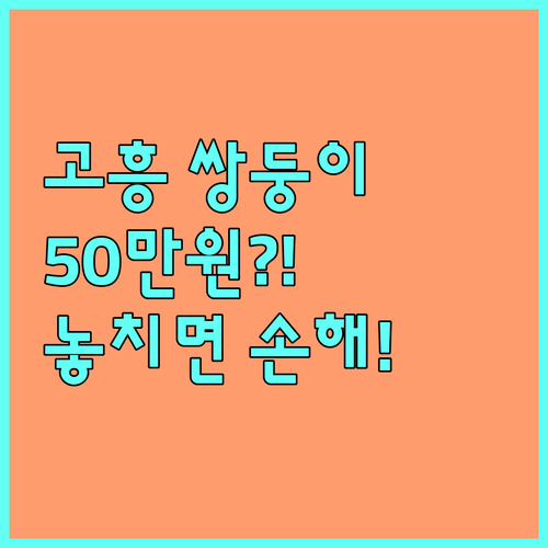 2025 고흥군 쌍둥이 출산지원금 50만원 신청 절차 및 대상