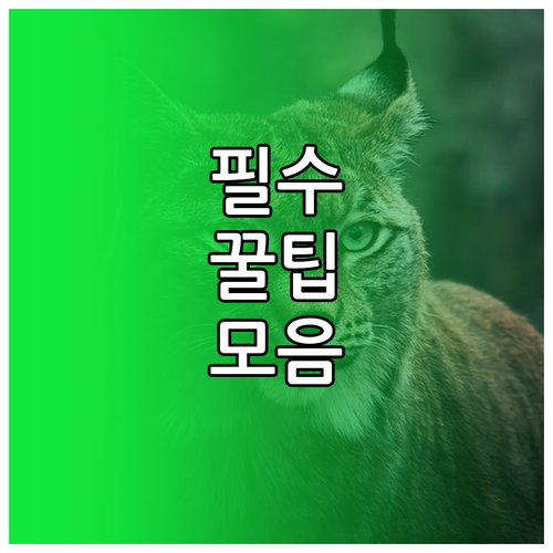 아이패드 스크린샷, 헷갈리는 저장 위치 해소