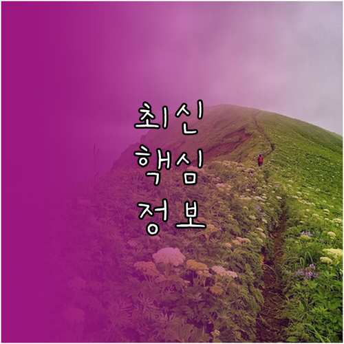 미국 비자 면제 ESTA 인상된 수수료 환불 주의사항