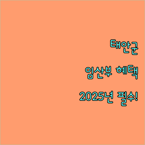 태안군 임산부 영양제 지원, 2025년 비타민D 현물 지원 정보