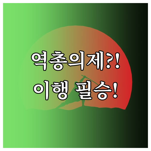 WTO 분쟁 해결 제도의 역총의제 원칙과 4단계 강제 이행