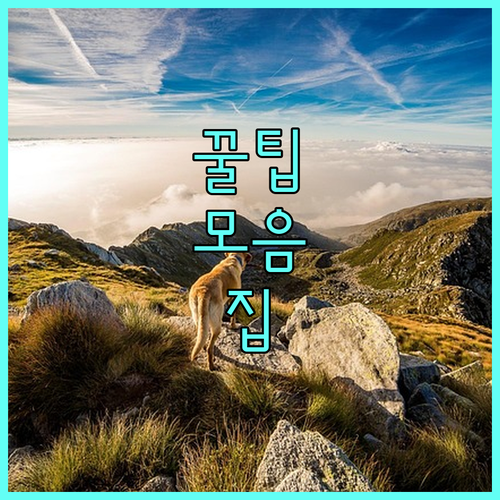 임산물 고부가가치 창출 2025 지원 사업 | 신청 기간, 서류, 자격