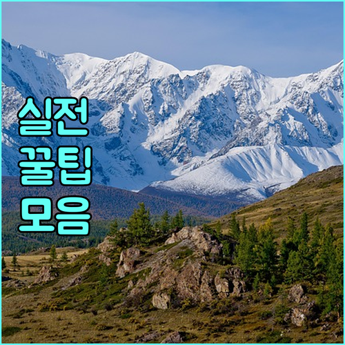 2025 화천군 다자녀 기저귀 지원 신청 절차 및 서류