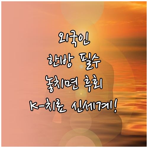 외국인 환자 전용 한방 치료 프로그램 안내