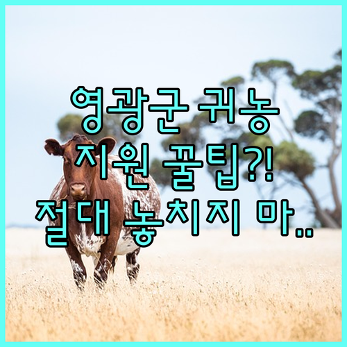 2025 영광군 귀농귀촌 희망자 필독 | 신청 자격과 주요 지원