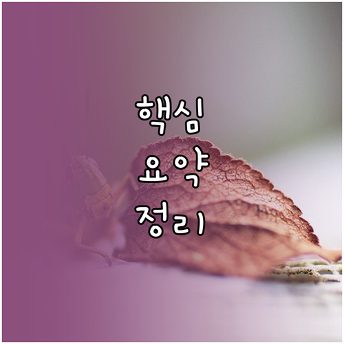 밤에 먹어도 괜찮아! 다이어트 저녁 메뉴와 피해야 할 것