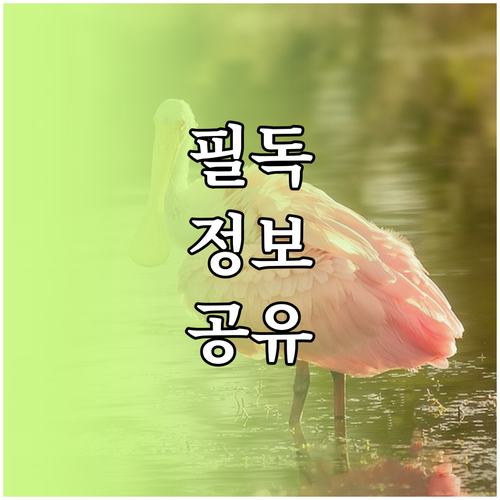 여름철 전력 낭비 막는 법! 에어컨 냉장고 대기전력 완벽 관리
