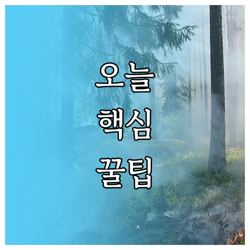 사랑스러운 고양이 위한 최고의 사료 나이별 인기 브랜드 추천
