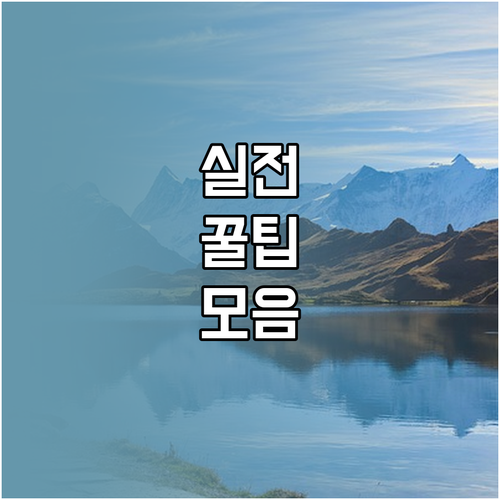 ESTA 수수료 $21, 환불 불가! 신청 전 필독 사항