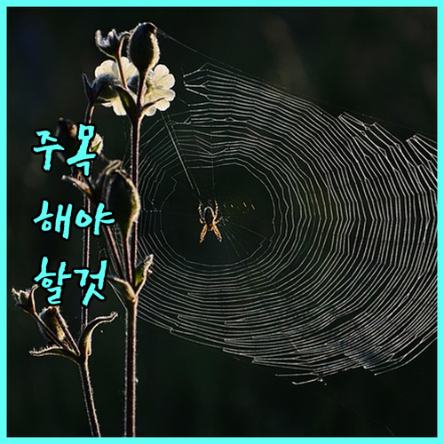 2025 동대문구 주차비 절약 감면 대상 신청 서류 확인