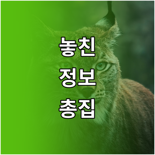 구글 드라이브 저장 공간 확보: 무료 청소와 구글 원 활용법