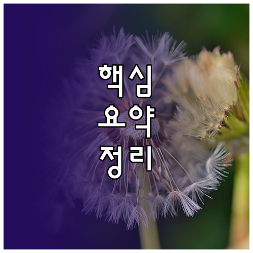 왕초보도 성공하는 영어 독학 교재 선택부터 활용까지