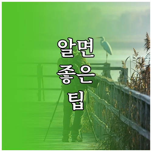 강릉 커피거리 박이추 테라로사 엘빈 놓칠 수 없는 명소
