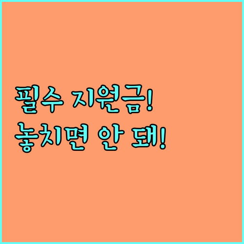 2025 영등포구 장애인가정 출산지원금, 지원 금액과 요건 총정리