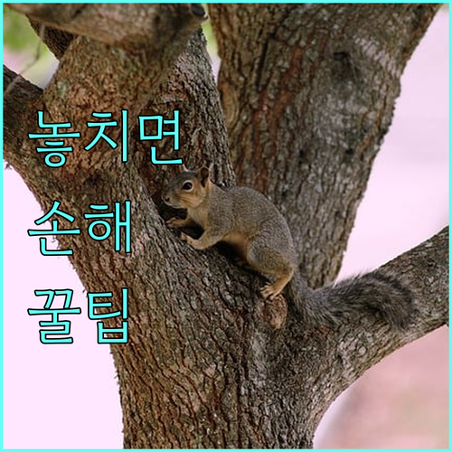 2025 논산시 국가보훈 수당 지급자 자동 위문 상세 정보