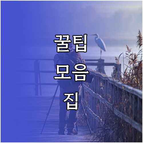 온라인 마케팅 성공 전략 최신 트렌드와 성과