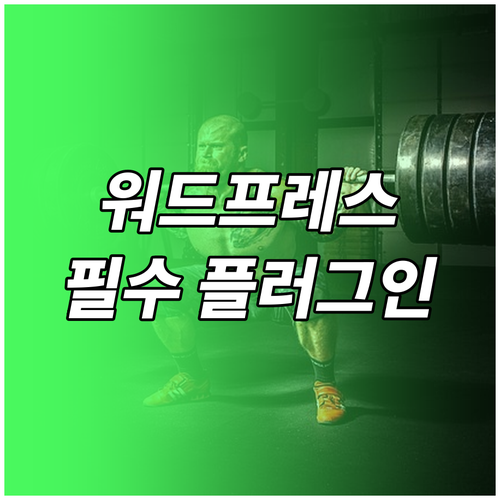 내 워드프레스 사이트 강력하게 만드는 플러그인 추천