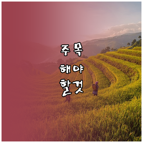 ESTA 수수료 인상! 미국 경유 환승, 이것 모르면 비행기 못 타요