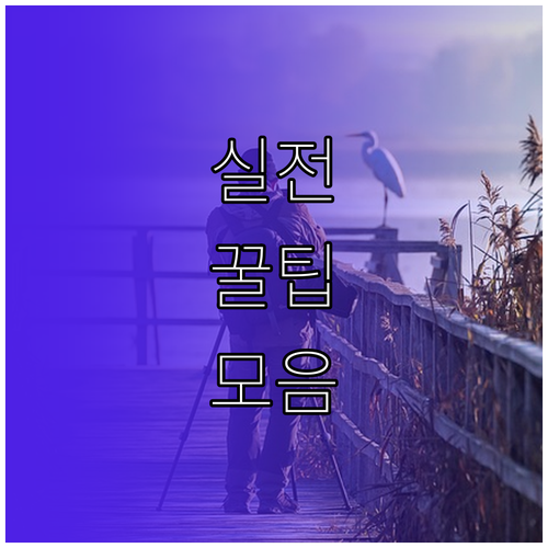 복리 효과 지금부터! 소액으로 시작하는 장기 투자 비밀