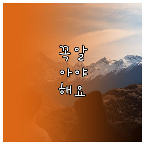 집에서 쉽게 따라하는 겨울철 홈트레이닝 루틴