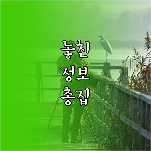 내 페이스북 계정, 안전하게 비활성화하는 비법
