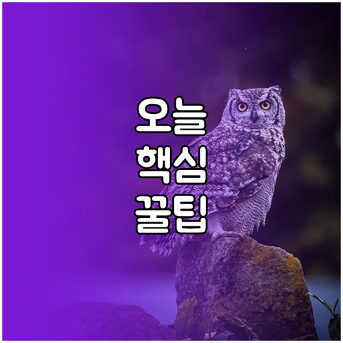 소자본 카페 창업 준비물 비용 법률 절차 완벽 대비책