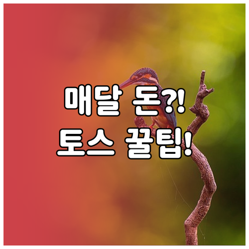 매달 나가는 돈, 토스 자동이체로 잊지 않고 보내는 팁