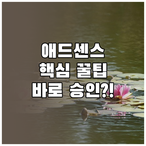 티스토리 애드센스 승인과 자체 광고 활용법