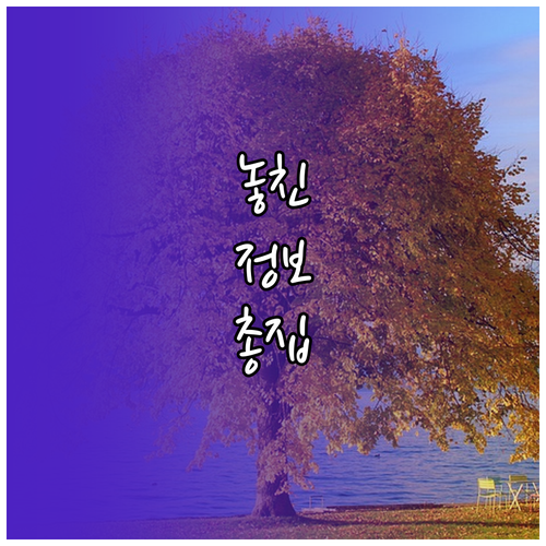 ESTA 승인 후 미국 방문 전 반드시 알아야 할 최종 점검