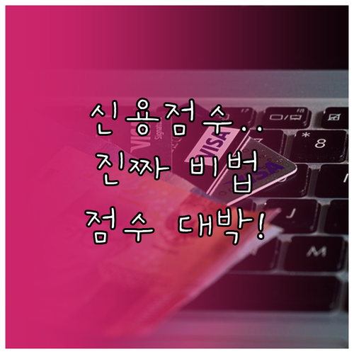 신용 점수 올리기 위한 현명한 금융 습관