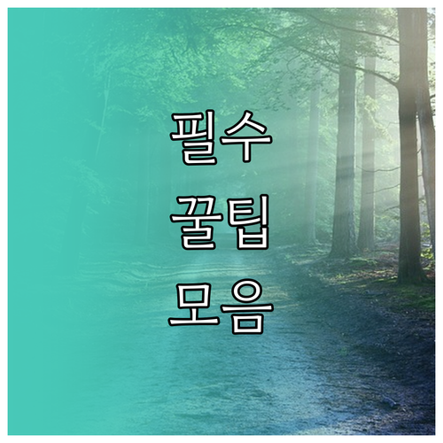 ESTA 결제 성공 비결! 대기 상태 21달러 수수료 완전 분석